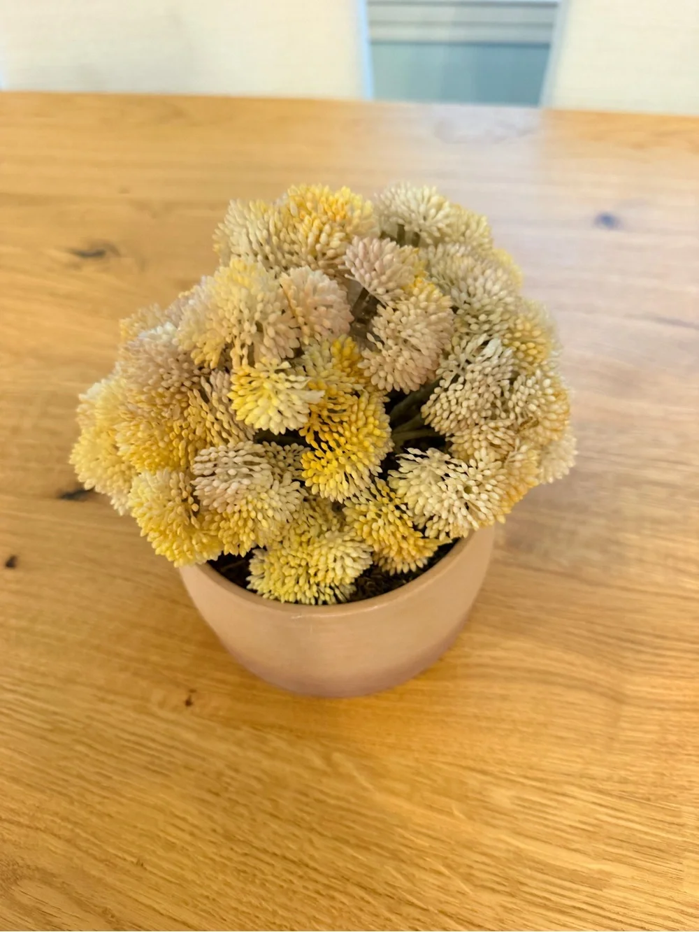 Target Yellow Dried Floral Arrangement in Tan Ceramic Planter
